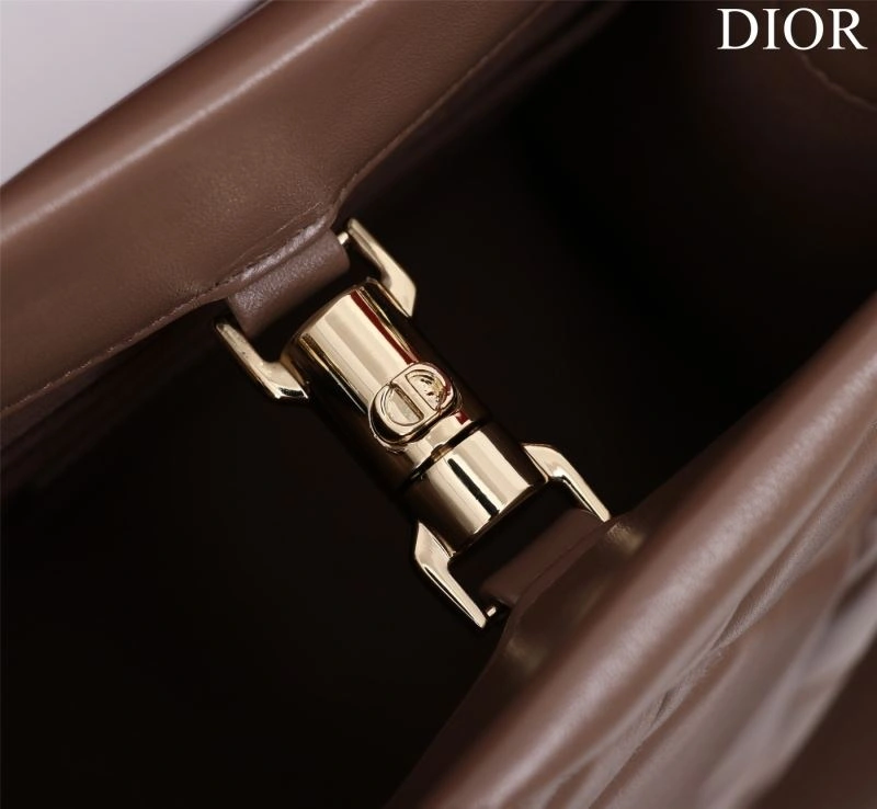 Christian Dior Shopping Bags Resilient 76248