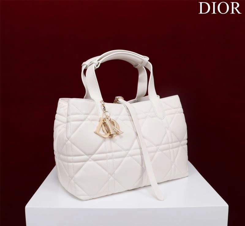 Lightweight Christian Dior Shopping Bags 76241