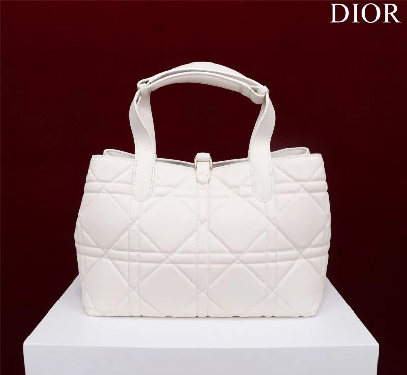 Lightweight Christian Dior Shopping Bags 76241