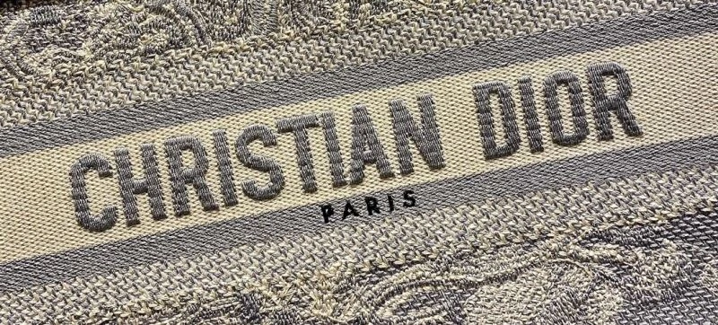 Christian Dior Shopping Bags Sleek 76249