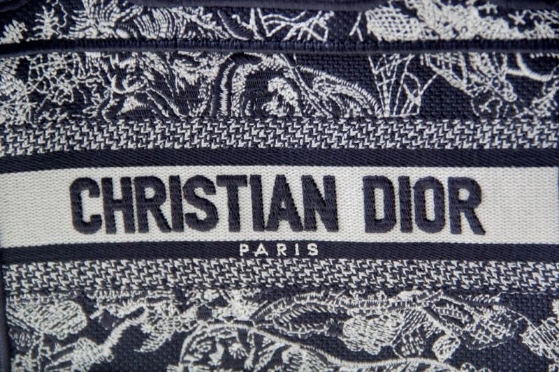 ModernLook Christian Dior Shopping Bags 76266