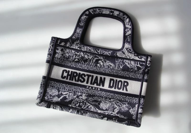 ModernLook Christian Dior Shopping Bags 76266
