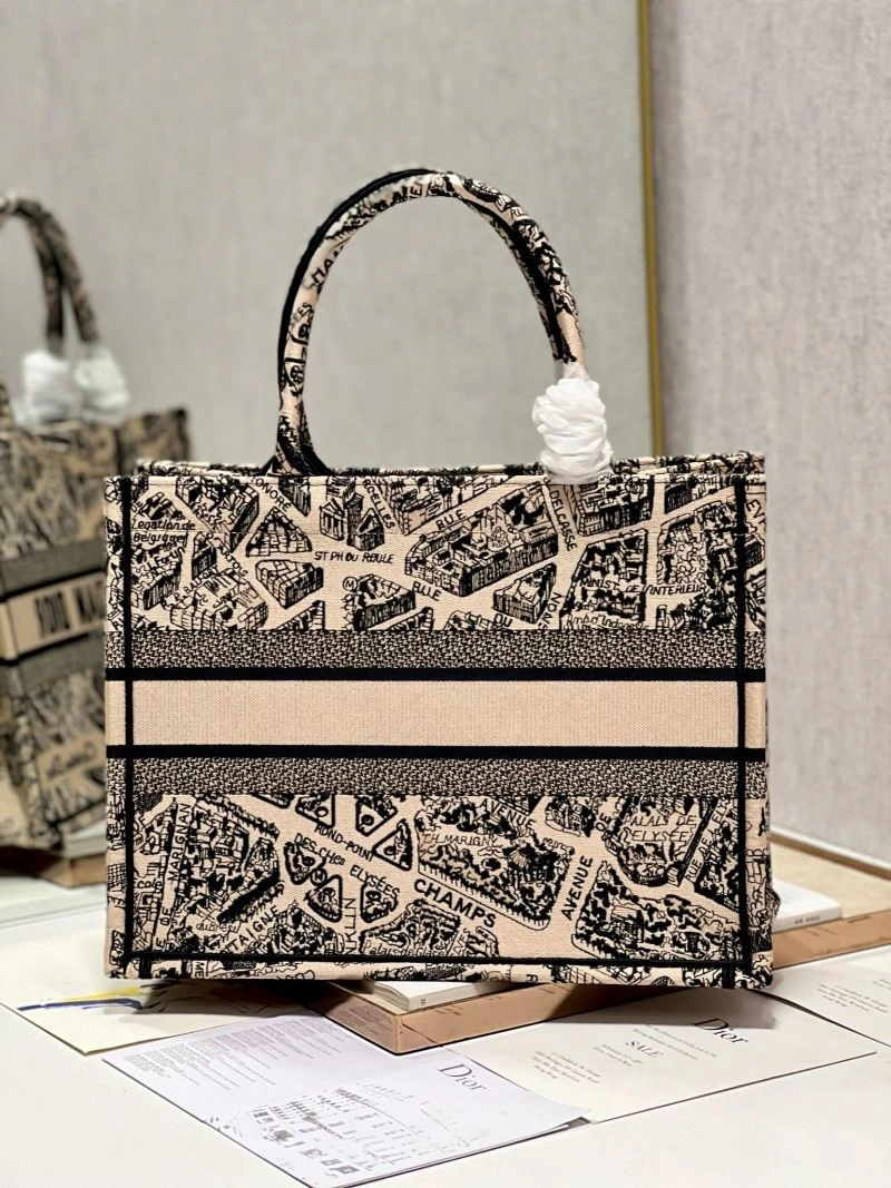 Practical Christian Dior Shopping Bags 76202