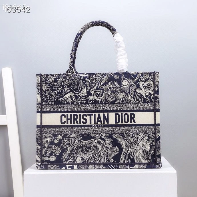 StreetReady Christian Dior Shopping Bags 76224
