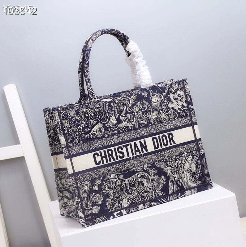 StreetReady Christian Dior Shopping Bags 76224