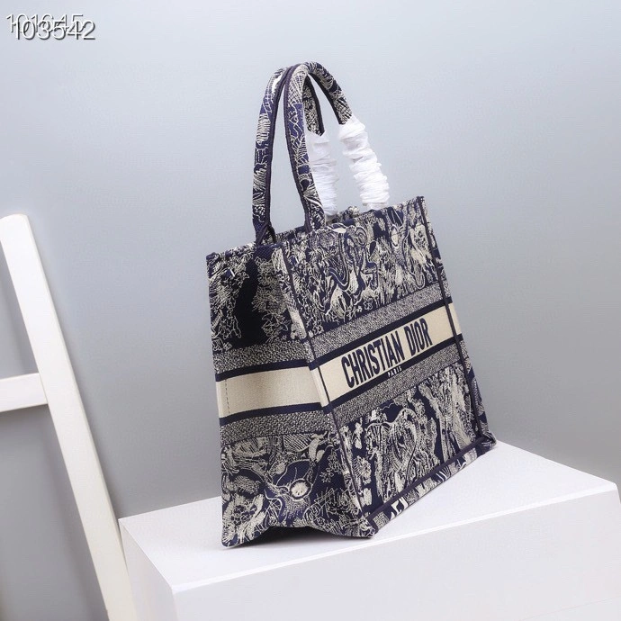 StreetReady Christian Dior Shopping Bags 76224