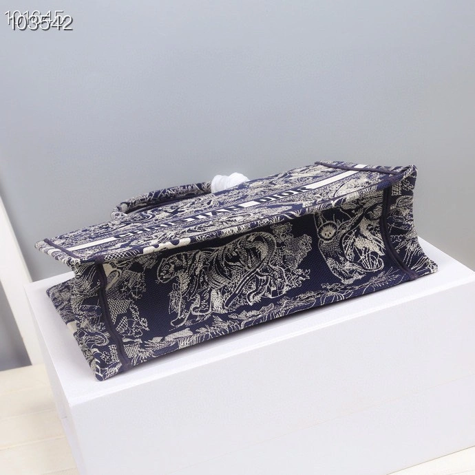 StreetReady Christian Dior Shopping Bags 76224