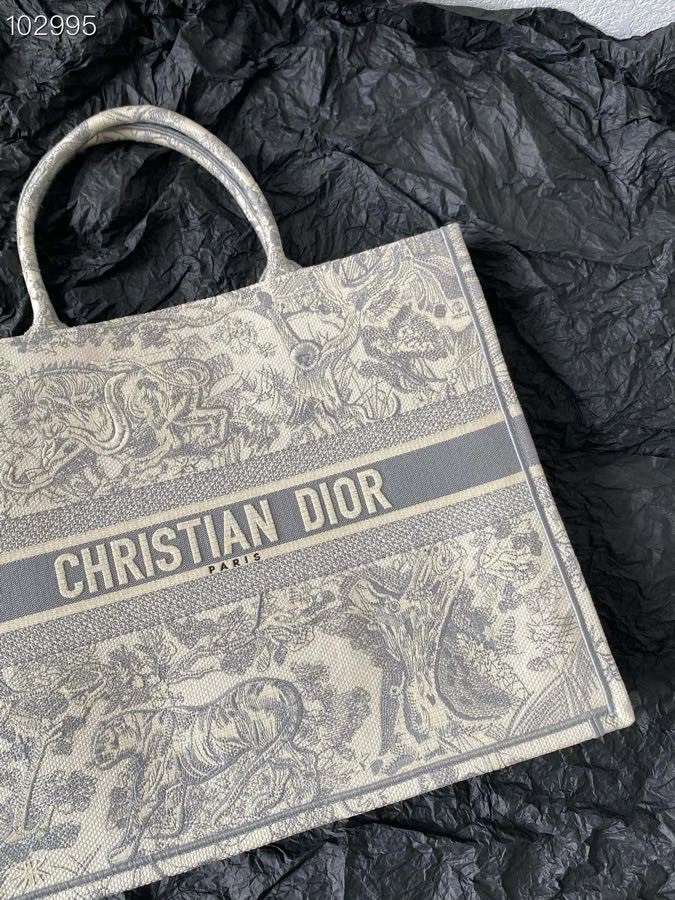 GoAnywhere Christian Dior Shopping Bags 76216