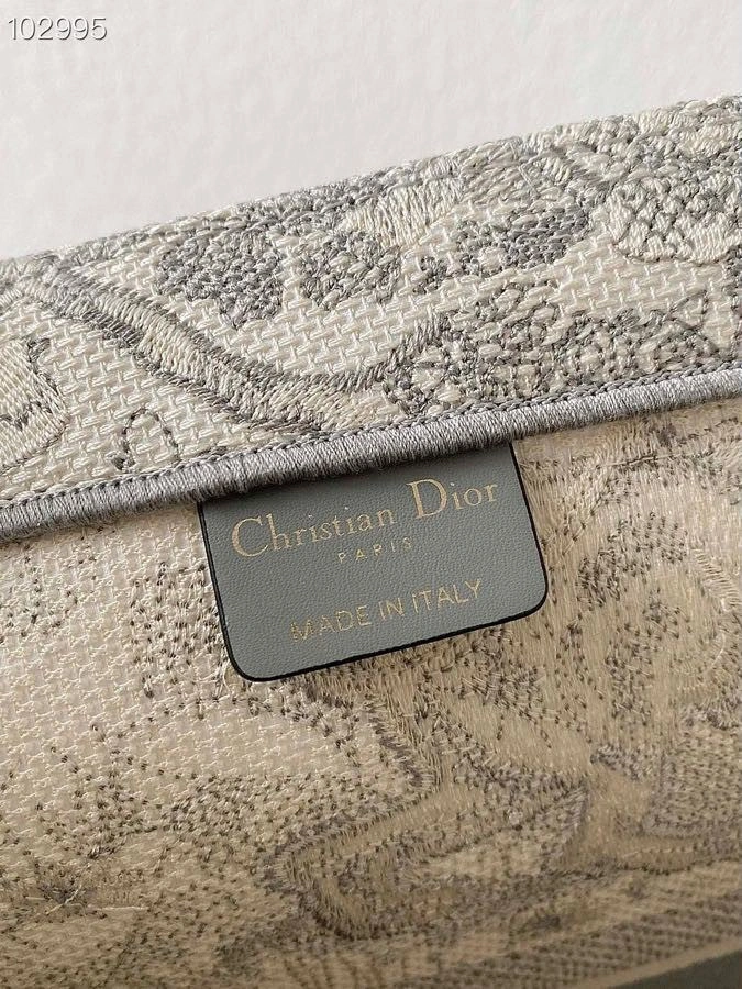 GoAnywhere Christian Dior Shopping Bags 76216