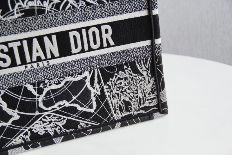Christian Dior Shopping Bags StreetReady 75648