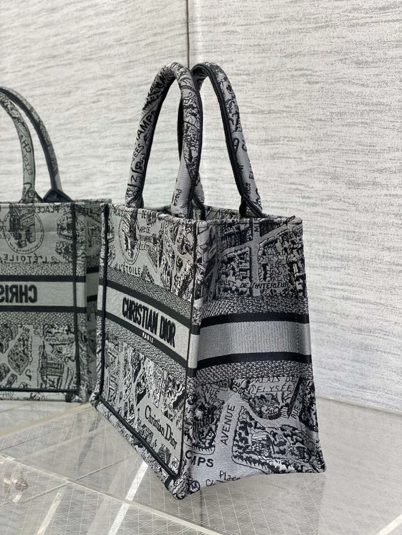 Popular Christian Dior Shopping Bags 75642