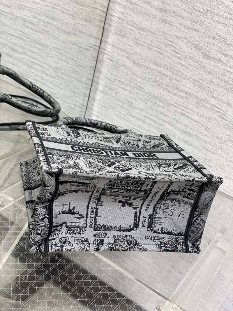 Popular Christian Dior Shopping Bags 75642