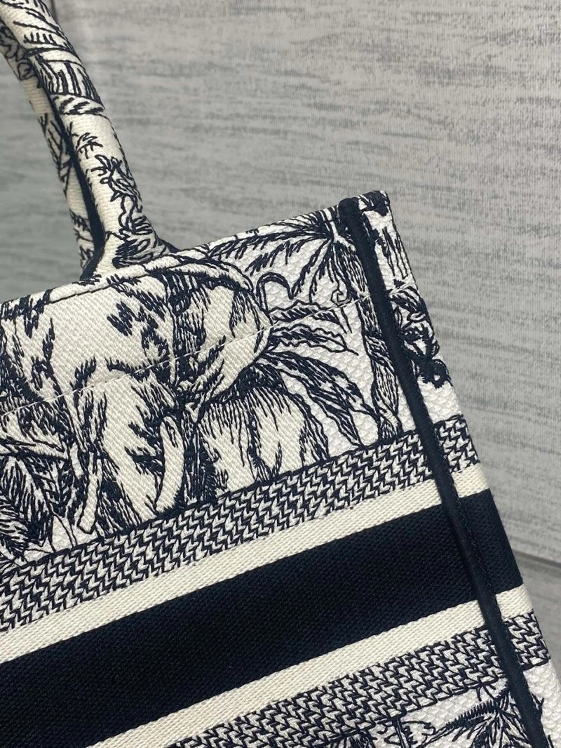 Christian Dior Shopping Bags Trendsetting 75639