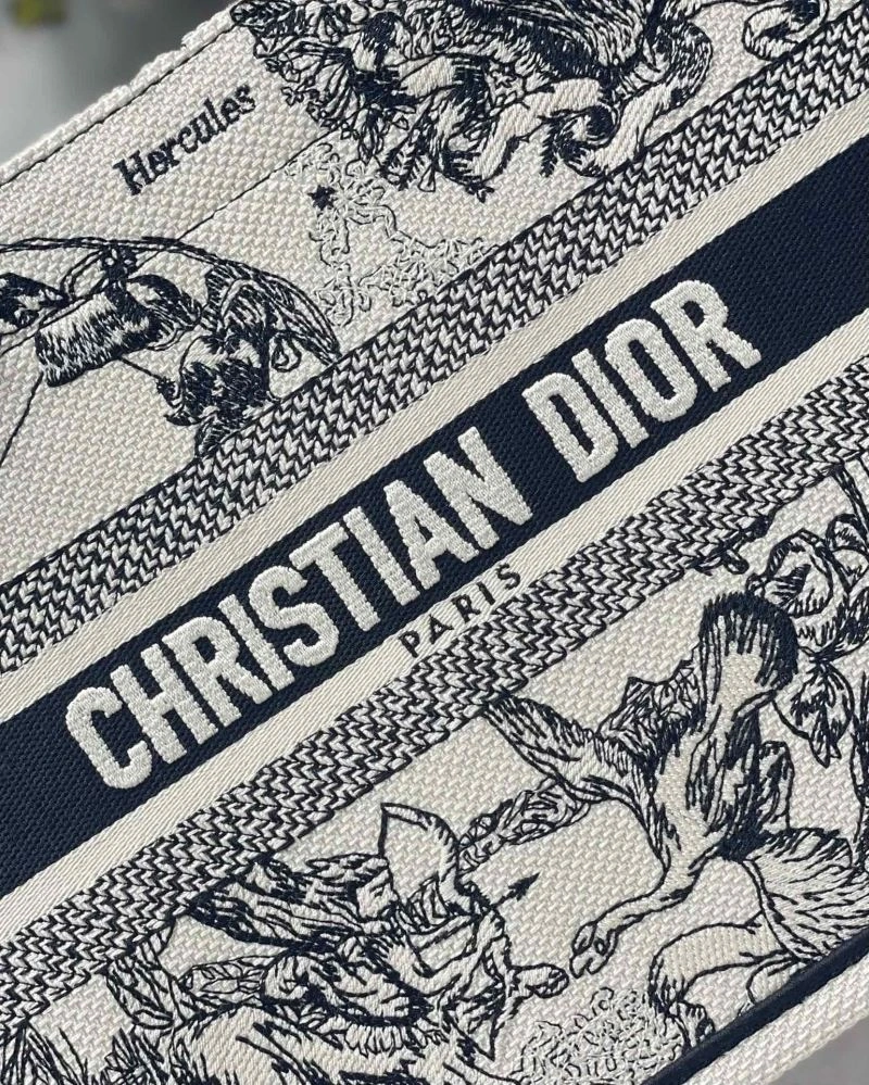 Christian Dior Shopping Bags ModernLook 75608