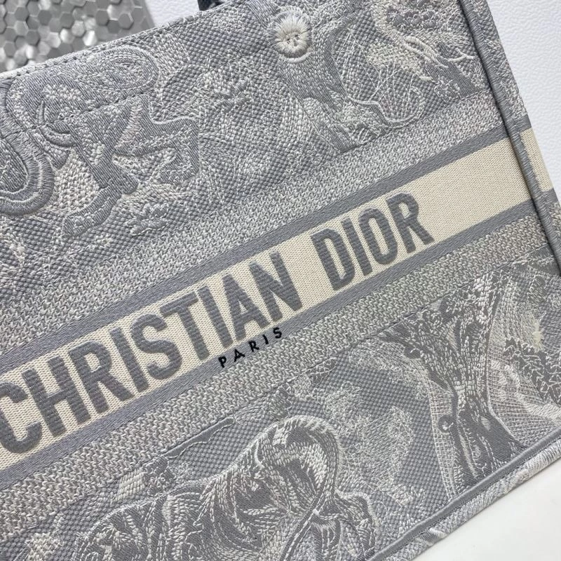 StreetReady Christian Dior Shopping Bags 75601