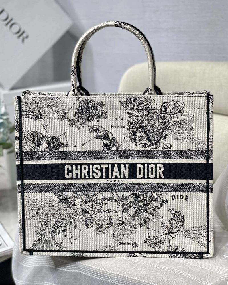 GoAnywhere Christian Dior Shopping Bags 75604