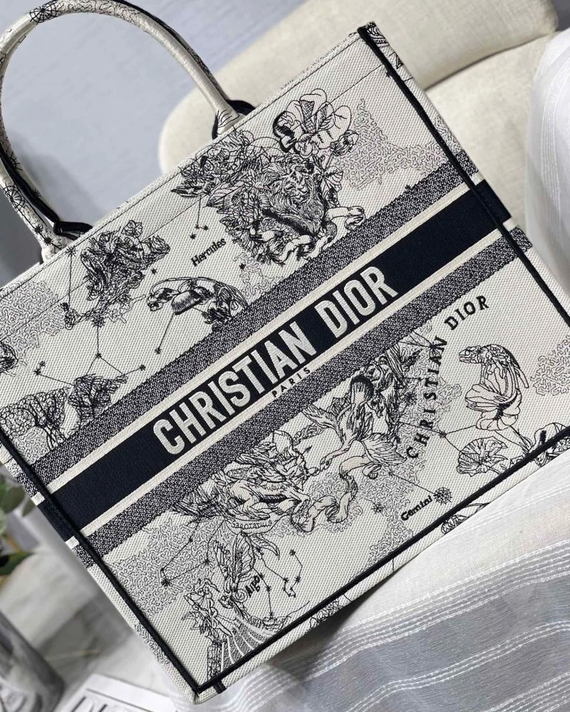 GoAnywhere Christian Dior Shopping Bags 75604