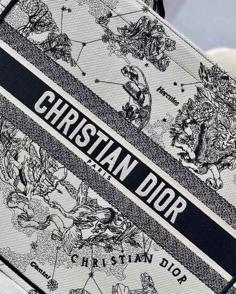 GoAnywhere Christian Dior Shopping Bags 75604