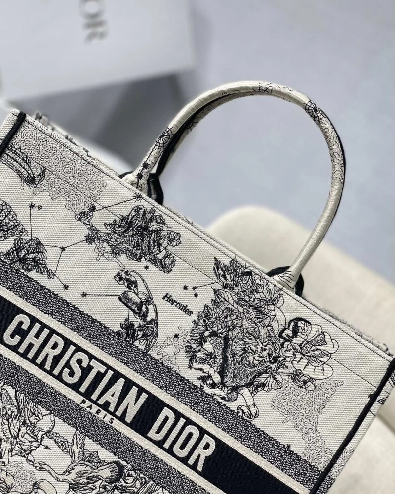 GoAnywhere Christian Dior Shopping Bags 75604