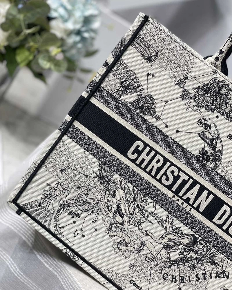 GoAnywhere Christian Dior Shopping Bags 75604