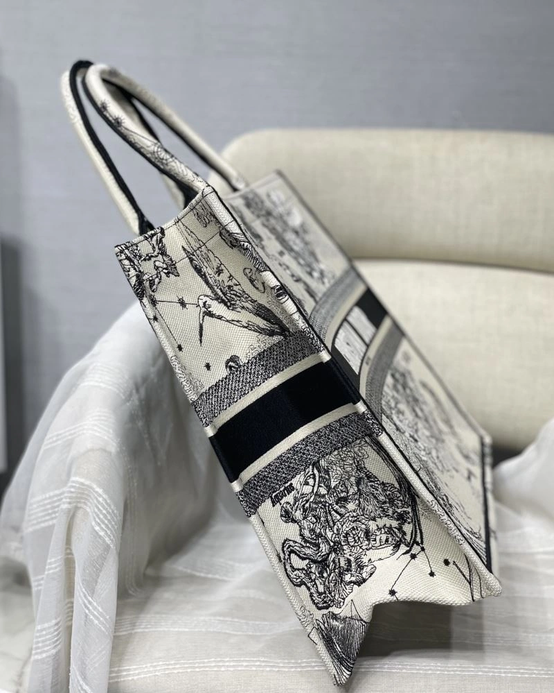 GoAnywhere Christian Dior Shopping Bags 75604