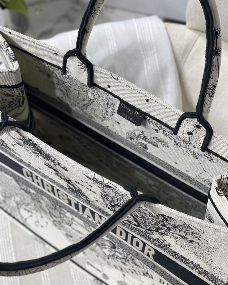 GoAnywhere Christian Dior Shopping Bags 75604
