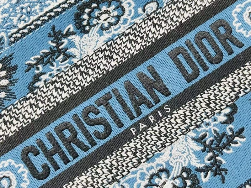 Trendsetting Christian Dior Shopping Bags 75569