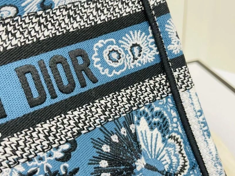 Trendsetting Christian Dior Shopping Bags 75569