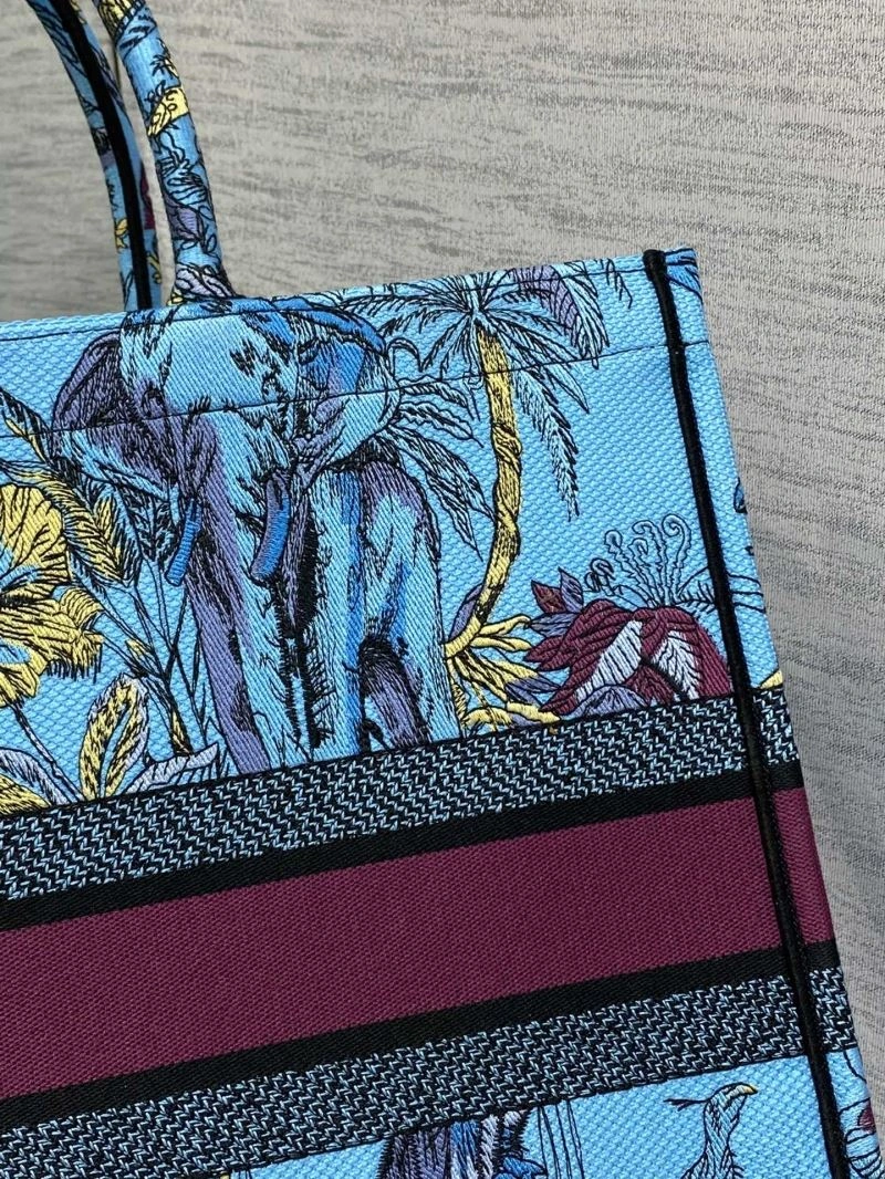 EyeCatching Christian Dior Shopping Bags 75492