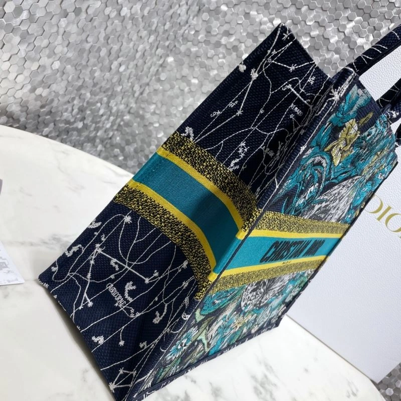 Colorful Christian Dior Shopping Bags 73978