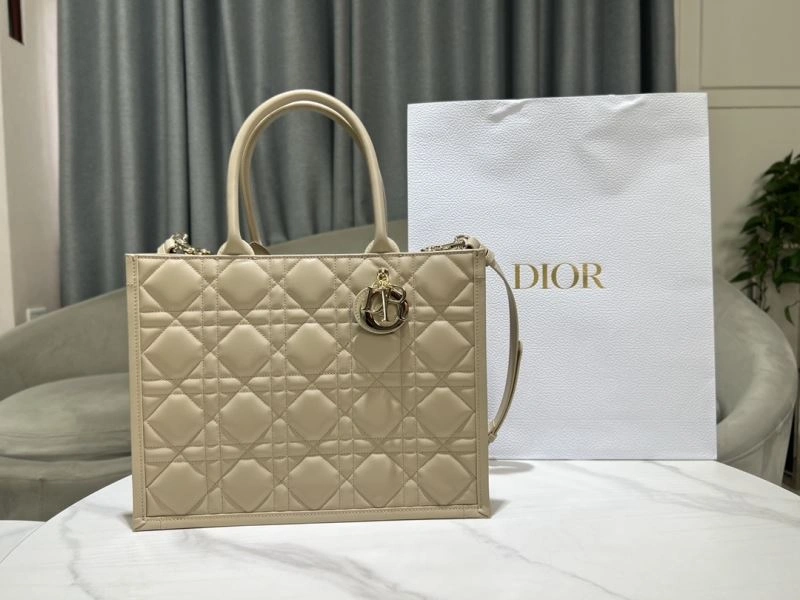 Premium Christian Dior Shopping Bags 73891