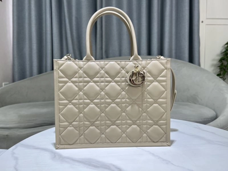 Premium Christian Dior Shopping Bags 73891