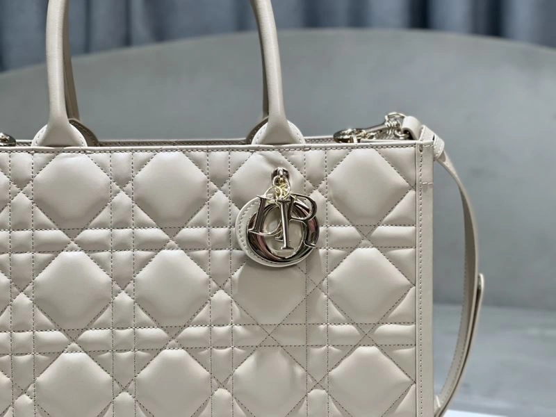 Premium Christian Dior Shopping Bags 73891