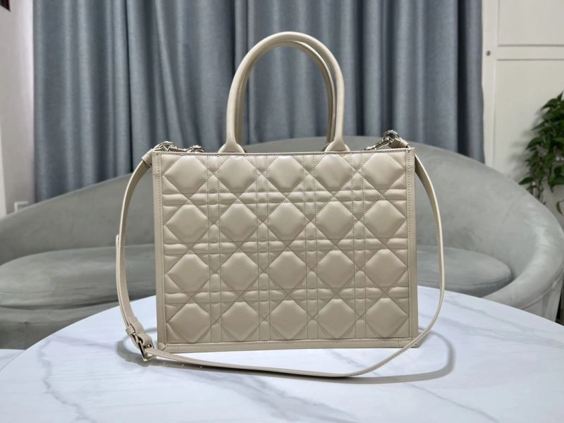 Premium Christian Dior Shopping Bags 73891