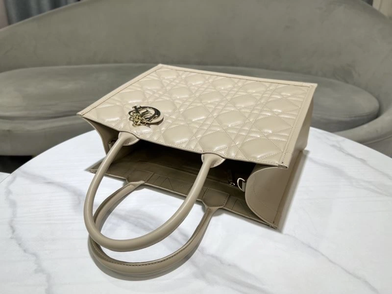 Premium Christian Dior Shopping Bags 73891