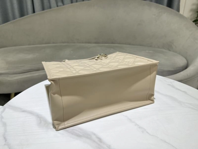 Premium Christian Dior Shopping Bags 73891