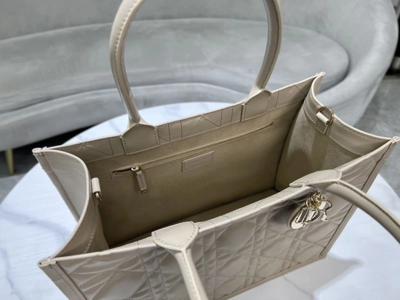 Premium Christian Dior Shopping Bags 73891