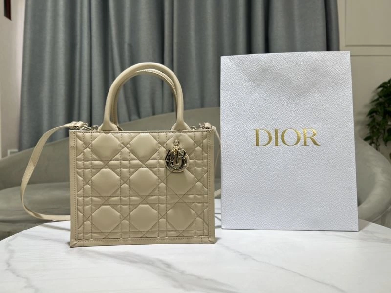 DailyWear Christian Dior Shopping Bags 73896