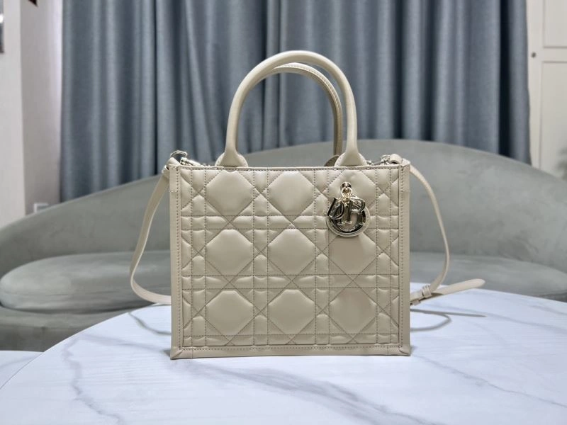 DailyWear Christian Dior Shopping Bags 73896