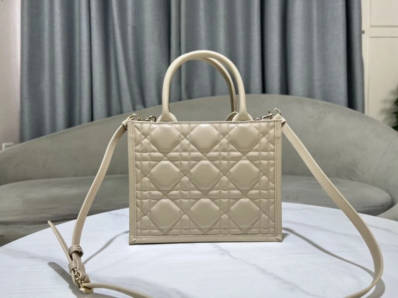 DailyWear Christian Dior Shopping Bags 73896