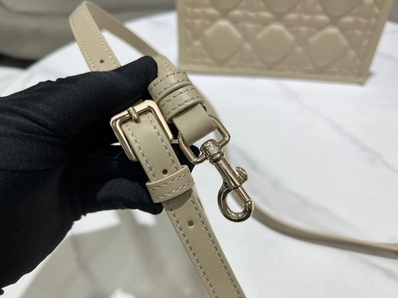DailyWear Christian Dior Shopping Bags 73896