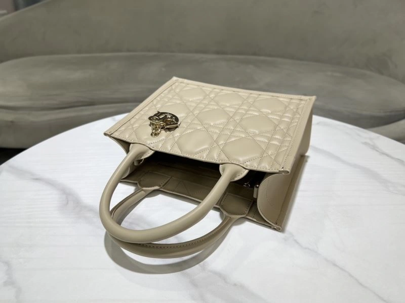 DailyWear Christian Dior Shopping Bags 73896