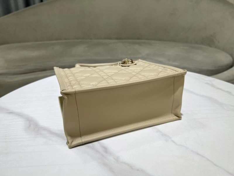 DailyWear Christian Dior Shopping Bags 73896