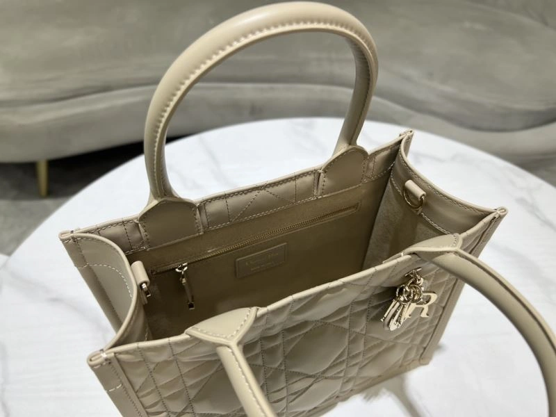 DailyWear Christian Dior Shopping Bags 73896