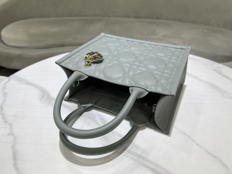 Christian Dior Shopping Bags HighPerformance 73887