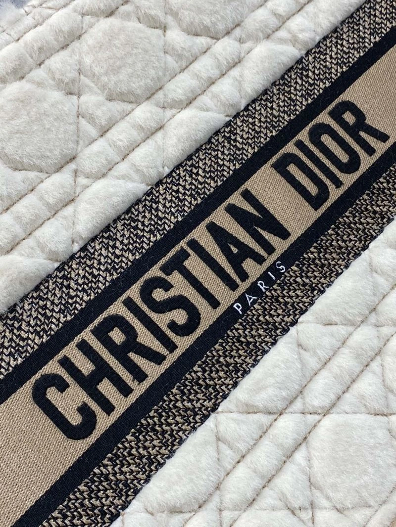 Sleek Christian Dior Shopping Bags 73877