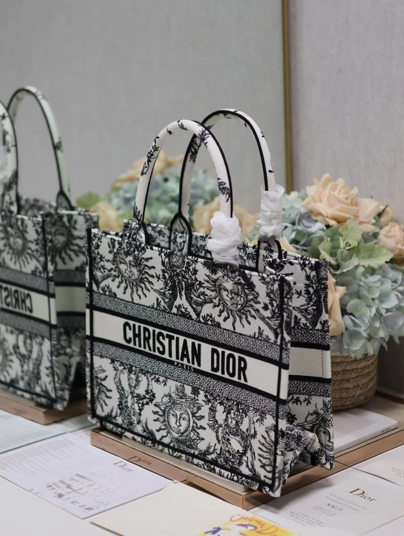 StreetReady Christian Dior Shopping Bags 73840