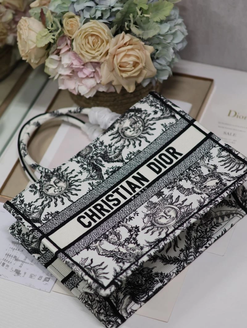 StreetReady Christian Dior Shopping Bags 73840
