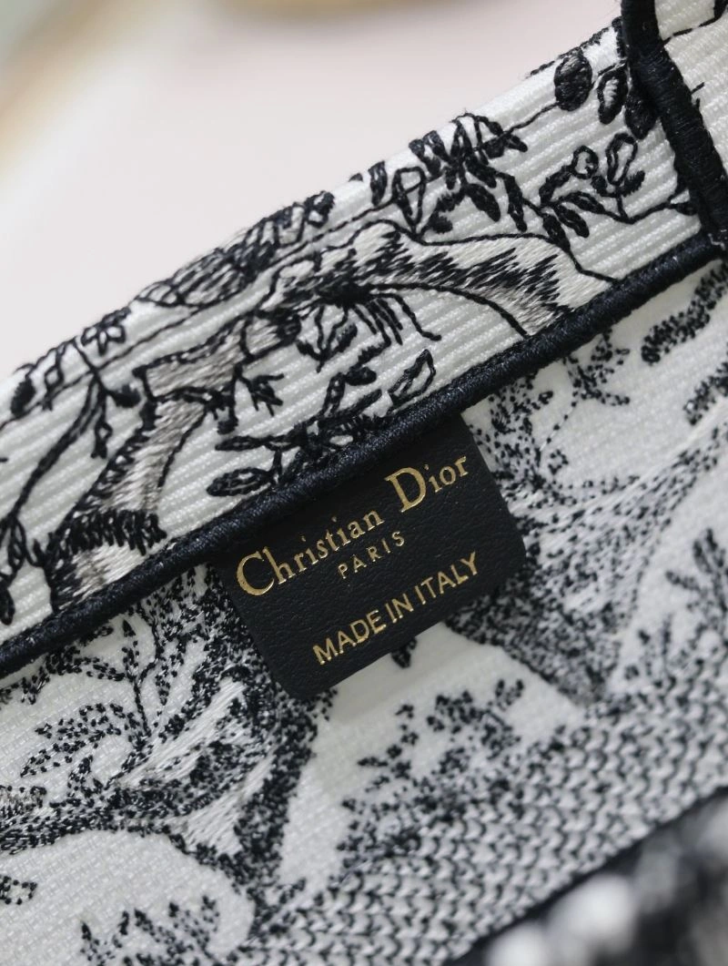 StreetReady Christian Dior Shopping Bags 73840