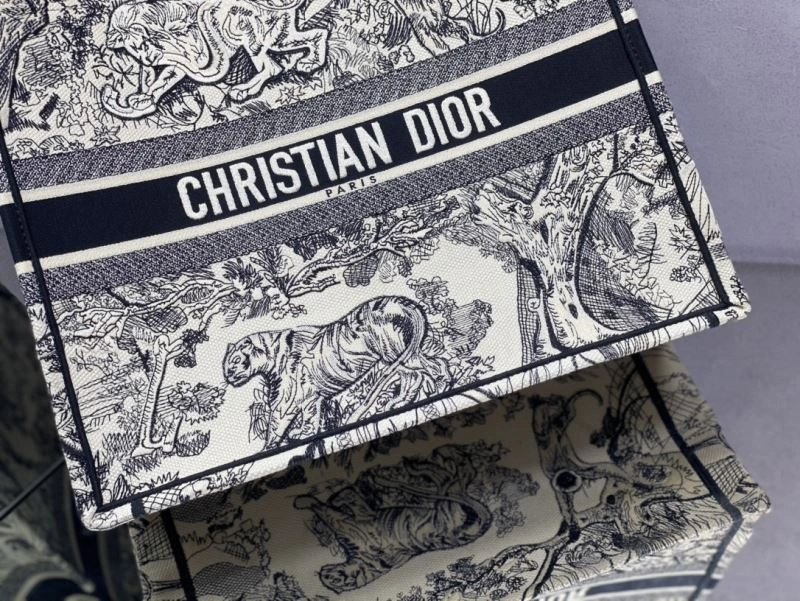 SmoothTexture Christian Dior Shopping Bags 70555